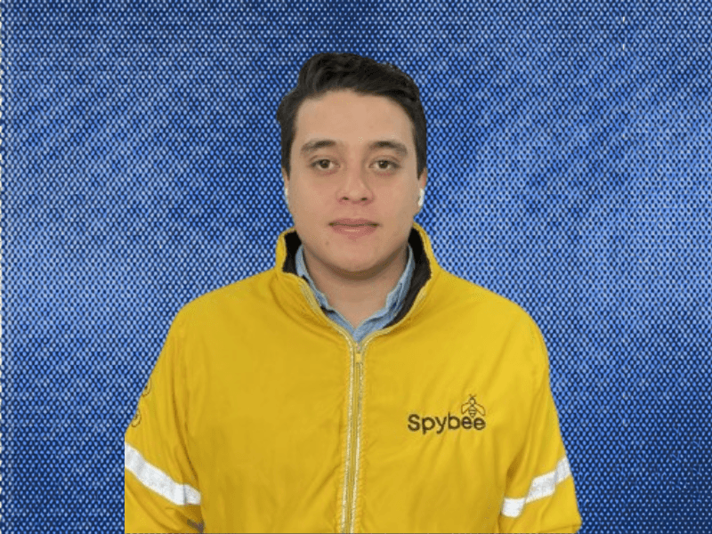 Spybee